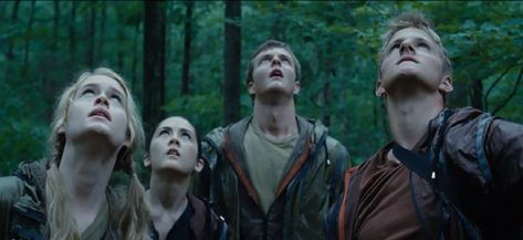 Marvel Hunger Games, Cato Hunger Games, Hunger Games Arena, Hunger Games 2012, 2012 Movie, Hunger Games 3, Hunger Games Series, Katniss Everdeen, The Hunger Games