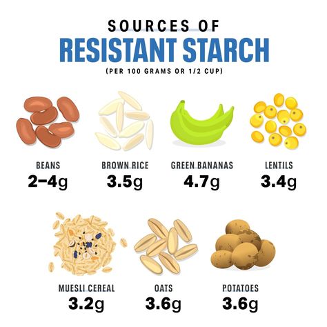 Resistant Starch Foods, Maumee Ohio, Muesli Cereal, Resistant Starch, Starch Foods, Unripe Banana, Good Gut Bacteria, Nutrition And Dietetics, Insulin Resistance