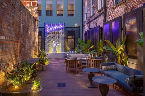 Eliza Jane Hotel by Hyatt opens in the CBD - Curbed New Orleans New Orleans Spa, Best Hotels In New Orleans, Chloe Hotel New Orleans, Eliza Jane Hotel New Orleans, New Orleans Hotels Garden District, Columns Hotel New Orleans, Poolside Food, Jane Hotel, Eliza Jane