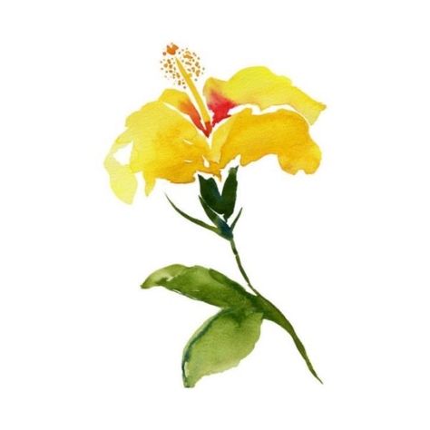 Hibiscus Watercolor, Island Chic, Art Island, Yellow Hibiscus, Watercolor Tips, Yellow Wall Art, Watercolor Flower Art, Cat Air, Watercolor Flowers Paintings