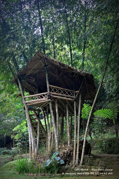 Bamboo house, Tanakita Camping Ground, Situ Gunung,  Jawa Barat, Indonesia Bamboo Tree House, Eco Lodge Design, Bamboo Treehouse, Camping Ground, Bamboo Building, Bamboo House Design, Farm Plans, Bamboo Structure, Bamboo Architecture