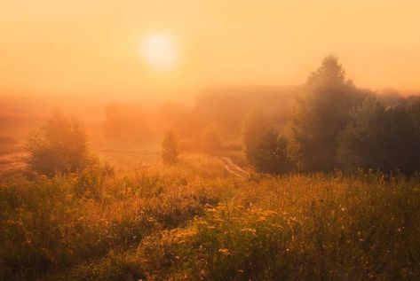 Yellow Photography, Season Of The Witch, Nature Aesthetic, Golden Hour, Sunrise Sunset, Beautiful Landscapes, Beautiful Photo, Beautiful Places, The Sun