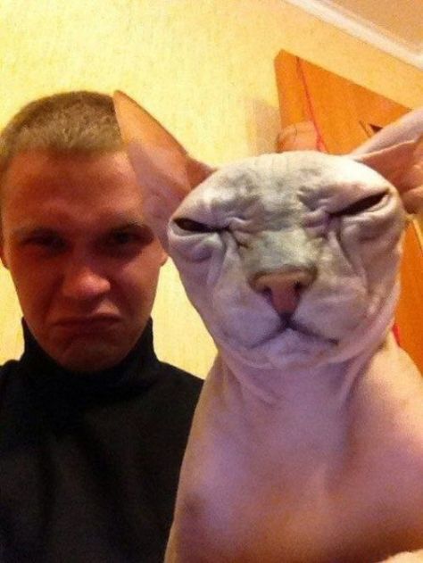 Funny animals : theCHIVE Cat Squinting Eyes, Squint Your Eyes Pictures, Squint Your Eyes, Squinting Eyes, Funny Baby Images, American Funny Videos, Indian Funny, Inspo Art, Best Funny Photos