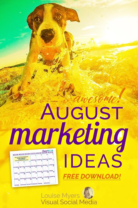 Keep cool this August with marketing ideas for social media and blogging! CLICK for inspiration on a FREE printable download! Perfect for small businesses, entrepreneurs, and bloggers. #August #MarketingTips #SmallBusinessTips #ContentMarketing #Bloggers #Holidays #SocialMediaMarketing #SMM Ingenious Ideas, Solopreneur Tips, Instagram Marketing Strategy, Blog Strategy, Instagram Marketing Tips, Brand Creation, Social Media Expert, Branding Tips, Twitter Marketing