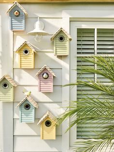 Birdhouse Wall, Sweet Display, Bird House Feeder, Bird House Kits, Bird Houses Painted, Diy Bird Feeder, Bird Houses Diy, Bird Boxes, Nice Colors