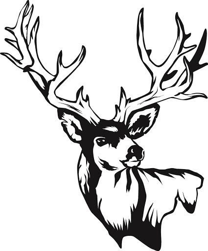 deer%20skull%20drawing Moose Svg, Hirsch Silhouette, Deer Decal, Moose Silhouette, Deer Svg, Deer Drawing, Deer Wall Art, Whitetail Bucks, Buck Deer