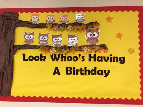 November Birthday Bulletin Board Ideas, Fall Birthday Bulletin Board Ideas, Birthday Bulletin Board Ideas, Birthday Bulletin Board, Saturday Greetings, Birthday Boards, Fall Board, Birthday Bulletin Boards, Birthday Bulletin