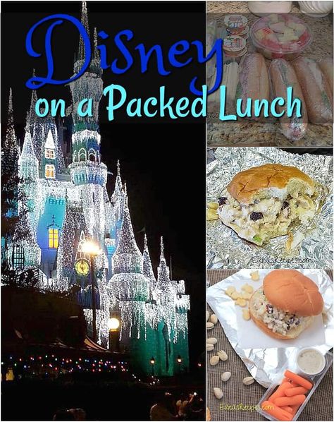 Lunch Ideas For Disney World, Theme Park Packed Lunch Ideas, Theme Park Lunch Ideas, Disneyland Lunch Packing, Amusement Park Lunch Ideas, Disneyland Snacks, Disney Trip Surprise, Diy Lunch, Lunch Packing