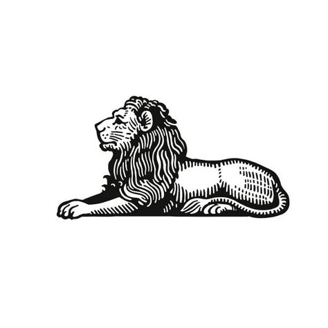 Lions Head Tattoo Design, Traditional Tattoo Lion, Traditional Lion Tattoo, Lion Sketch, Lion Vector, Lion Head Tattoos, Lion Illustration, Lion Drawing, Lion Tattoo Design