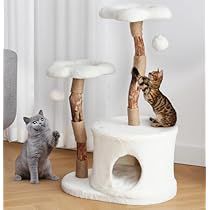 Wooden Cat Tree, Cat Scratching Tree, Modern Cat Tree, Natural Branches, Cat Tree Condo, Modern Style Furniture, Cat Hiding, Cat Trees, Luxury Cat