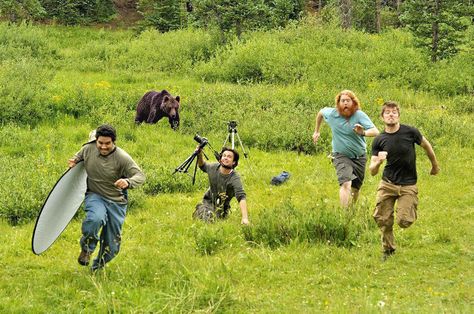 What About This Guys? This Bear Definitely Want To Participate In The Photography. 밈 유머, Draw The Squad, Milla Jovovich, Marlon Brando, 웃긴 사진, Ronald Reagan, Can't Stop Laughing, Six Feet Under, The Godfather