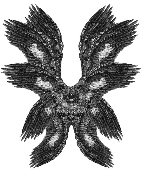 Angel Seraphim, Biblically Accurate Angel, Biblically Accurate, Birds, Angel, Google Search, Black And White, Black, Art