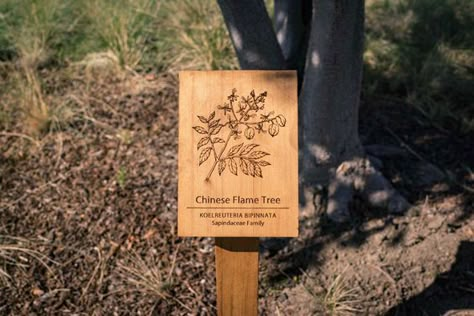 Tree Signage Design, Nature Trail Signs, Identification Signage, Farm Signage, Trail Signage, Rustic Signage, Interpretive Signage, Park Signage, Tree Identification