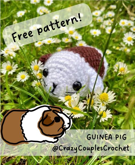 Free guinea pig crochet pattern on our instagram Crazy Couple's Crochet Crochet Guinea Pig Pattern Free, Crochet Guinea Pig Pattern, Guinea Pig Crochet Pattern, Guinea Pig Crochet, Pig Crochet Pattern, Pig Crochet, Crochet Pet, Pig Pattern, Pet Stuff