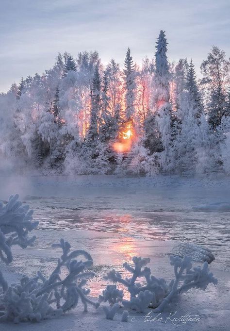 Natures Beauty!                                                                                                                                                                                 More Winter Angel, Winter Szenen, Frozen Lake, Airbrush Art, Winter Magic, Winter Scenery, Winter Beauty, Snow Scenes, Winter Pictures