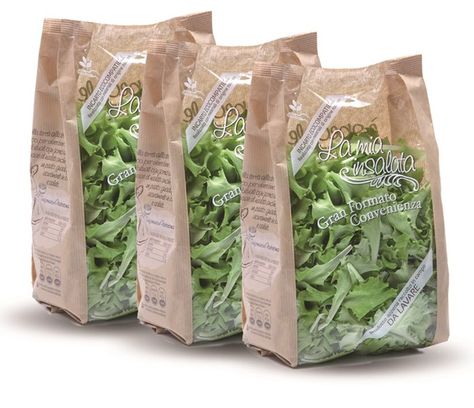 Microgreens Packaging Ideas, Lettuce Packaging, Microgreens Packaging, Fresh Produce Packaging, Fresh Food Packaging, Microgreens Growing, Salad Packaging, Vegetable Packaging, Green Packaging