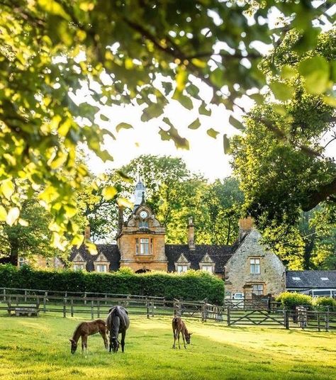 English Farm, Farm Estate, Dream Stables, English Horse, Dream Barn, Horse Ranch, Countryside House, The Fox And The Hound, Equestrian Life