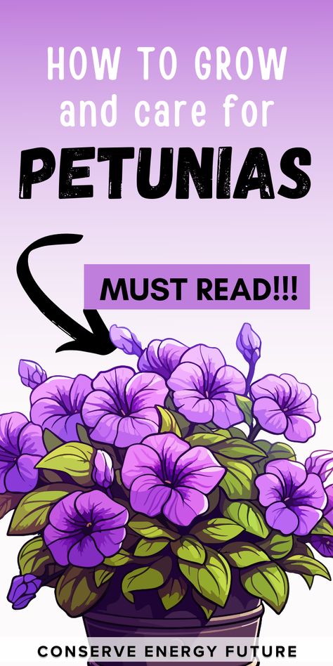 How To Grow Petunias From Seed, Wave Petunias Planter, Petunias In Pots Planters, Petunias In Pots, Growing Petunias, Petunia Planter, Petunia Hanging Baskets, Petunia Care, Garden Baskets