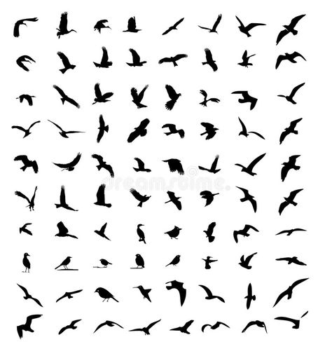 Bird Silhouette Tattoos, Tattoo Beach, Bird Silhouette Art, Small Bird Tattoos, Little Bird Tattoos, Tiny Bird Tattoos, Bird Silhouettes, Bird Tattoos For Women, Vogel Tattoo