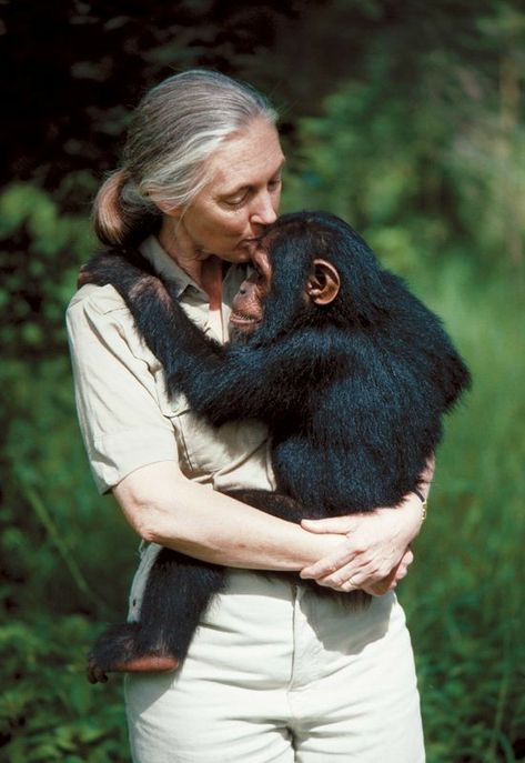 Jane Goodall and chimpanzee Jane Goodall, A Woman, Human