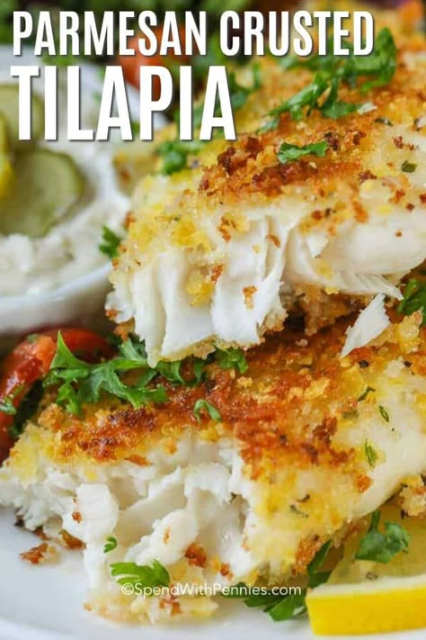 Parmesan Crusted Tilapia, Best Fish Recipes, Crusted Tilapia, Fish Dinner Recipes, Tilapia Recipes, Diner Recept, Easy Fish Recipes, Fish Recipes Healthy, Fish Dinner