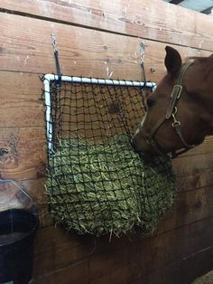 Hay Net - DIY Slow Feed Hay Feeders | DIY Slow Feed Hay Feeders Horse Feeder Diy, Horse Slow Feeder, Diy Hay Feeder, Hay Feeder For Horses, Horse Feeder, Horse Farm Ideas, Horse Hay, Diy Horse Barn, Horse Barn Ideas Stables