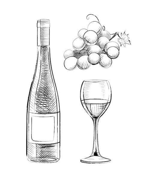 Hand drawn set of wine bottle glass and ... | Free Vector #Freepik #freevector #wine-drawing #wine-illustration #wine-sketch #wine Wine Bottle And Glass Drawing, Wine Bottle Illustration Drawings, Winery Drawing, Wine Drawing Sketches, Bottle Of Wine Drawing, Wine Bottle Sketch, Glass Of Wine Drawing, Wine Glass Sketch, Wine Bottle Drawing