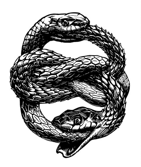 Snake Eating Itself Tattoo Meaning, Snake Eating Itself Tattoo, Ouroboros Meaning, Snake Biting, Tail Tattoo, Snake Eating, Infinity Symbol Tattoo, Ouroboros Tattoo, Woodcut Tattoo