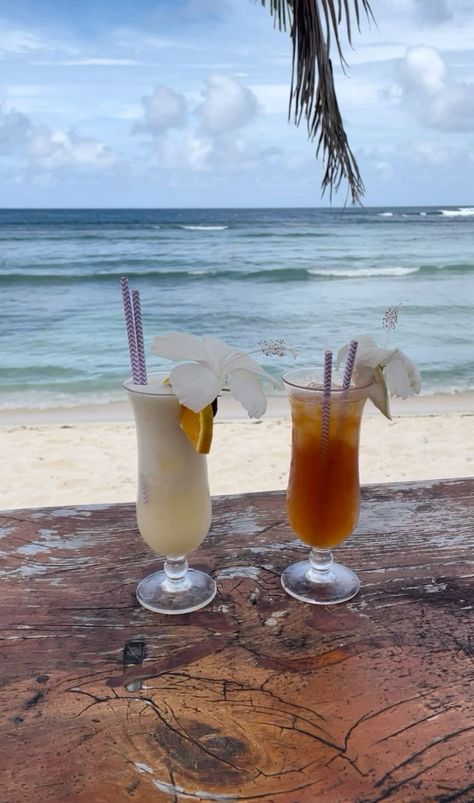 Vanuatu Vanuatu Aesthetic, Belize Aesthetic, Coconut Aesthetic, Winter Cruise, Coconuts Beach, Coconut Bowls, Coconut Drinks, Coconut Smoothie, Water Aesthetic