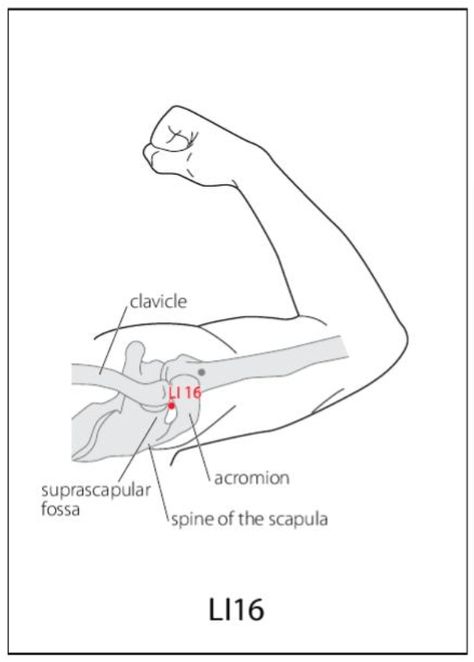 Arm Anatomy, Acupuncture Point, Point Acupuncture, Acupuncture Points, Acupressure Points, Acupressure, Ancient Times, Acupuncture, Energy Healing