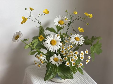 White Daisy Arrangements, Feverfew Flower Arrangement, Camomile Flower Arrangement, Chamomile Flower Arrangement, Meadow Flower Arrangement, Chamomile Arrangement, Daisy Floral Arrangements, Daisy Arrangements, Daisy Flower Arrangements