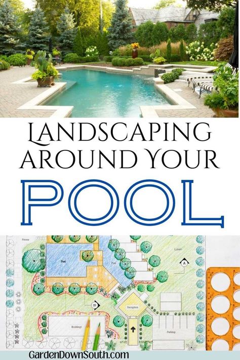 Dreaming of a beautiful poolside without the constant upkeep? Find out which landscaping choices give a big impact with minimal work. Perfect for busy homeowners wanting a gorgeous pool area year-round! Tropical Pool Landscaping, Irrigation Methods, Creative Landscaping, Pool Garden, Backyard Paradise, Underwater Lights, Evergreen Plants, Functional Space, Tropical Foliage