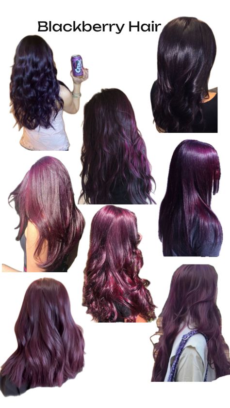 Blackberry Hair, Raspberry Hair, Berry Hair, Black Raspberry, Hair Dresser, Blackberry, Hair Inspo, Hair Ideas, Cute Hairstyles