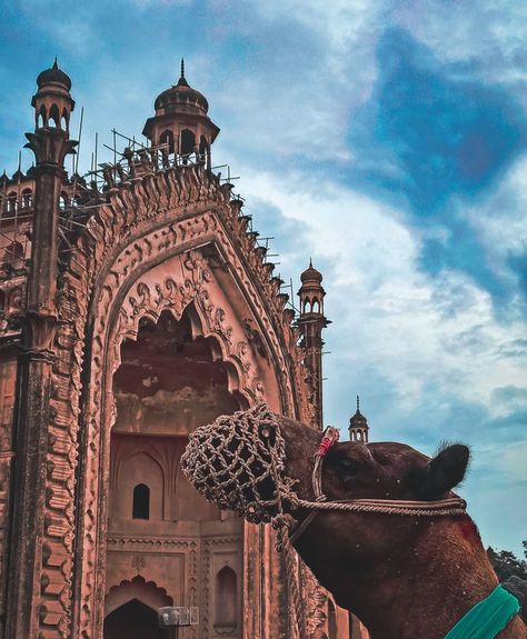 Monument photography with mobile phone Lucknowi Aesthetic, Rumi Gate Lucknow, Lucknow Aesthetic, Lino Art, Photo Board, Night Scenery, Photo Boards, Uttar Pradesh, Rumi