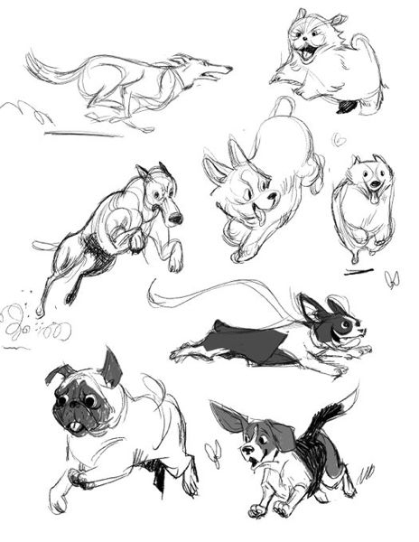 How To Draw A Dog Running, Cartoon Dog Reference, Running Animal Drawing, Dog Jumping Reference, Dogs Running Drawing, Flying Dog Drawing, Standing Dog Illustration, Dog Comic Drawing, Dogs Running Illustration