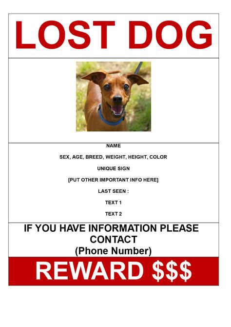 Missing Dog Poster with reward A3 size - Download this Missing Dog A3 size poster template if you are looking for a dog and need help from other people in your search to find this missing dog. Missing Dog Poster, Lost Dog Poster, Dot To Dot Printables, Cleaning Schedule Templates, Dog Template, Free Laptop, Missing In Action, Poster Template Free, Free Flyer Templates