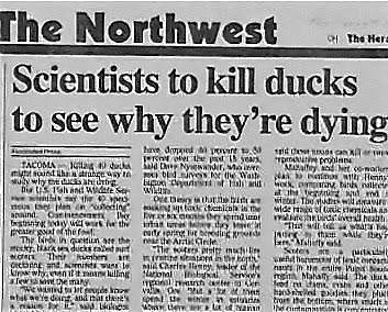 How EGRET-FOWL Funny News Headlines, Funny News Stories, Spit Take, Funny Headlines, Morning Newspaper, Jokes Images, Newspaper Headlines, Headline News, Funny News