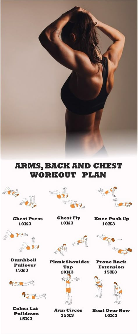 ARMS, BACK AND CHEST WORKOUT PLAN #Exercises #backexercises #batwingexercises, #armexercises. http://whispers-in-the-wind.com/at-home-gym-essentials-home-gym-on-a-budget/?exe Back And Chest Workout, Back And Abs Workout, Stretch Routines, Standing Workouts, Biceps Workout At Home, Ab And Arm Workout, Chest And Back Workout, Workout Arms, Chest Workout Women