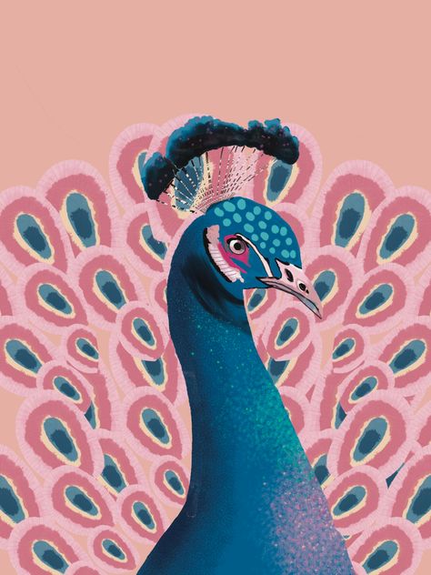 Peacock Illustration Design, Peacock Illustration, Peacock Artwork, Peacock Drawing, Animal Drawings Sketches, Posca Art, Quirky Illustration, Beautiful Art Paintings, Watercolor Art Lessons