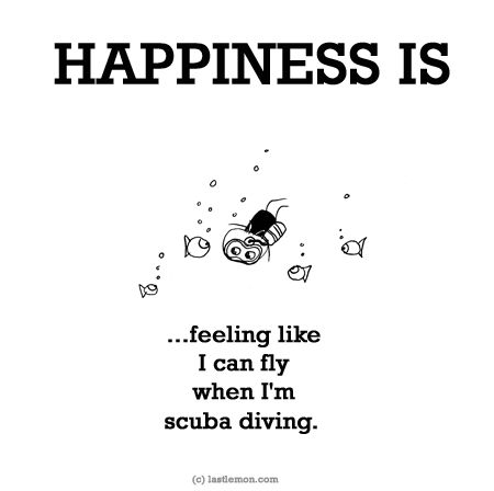 http://lastlemon.com/happiness/ha0033/ HAPPINESS IS: Feeling like I can fly when I'm scuba diving. Scuba Diving Quotes, Diving Quotes, Last Lemon, Navy Diver, Diver Down, Cave Diving, Scuba Diving Gear, Scuba Gear, Free Diving