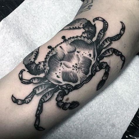 80 Crab Tattoo Designs For Men - Masculine Ink Ideas Crab Tattoo Ideas, Tattoo Sea, Crab Tattoo, Compass Tattoo Design, Sea Tattoo, Octopus Tattoo, Tatuaje A Color, Blackwork Tattoo, Piercing Tattoo