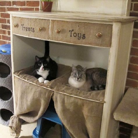 11 Awesome DIY Cat Furniture Ideas | The Family Handyman Cat Furniture Ideas, Diy Cat Furniture, Pallet Deck Diy, Katt Diy, Pet Bed Furniture, Cat Furniture Design, Chat Diy, Kat Diy, Diy Cat Tree