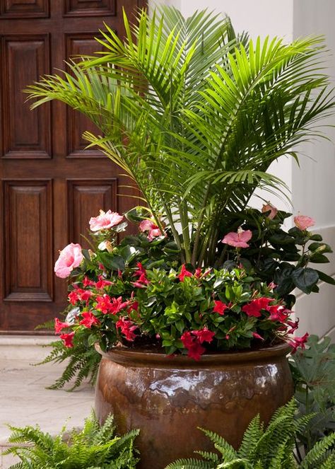 Patio Container Gardening, Container Garden Design, Outdoor Sanctuary, Plants Ideas, Planting Ideas, Container Gardening Flowers, Pot Plants, Patio Plants, Garden Containers