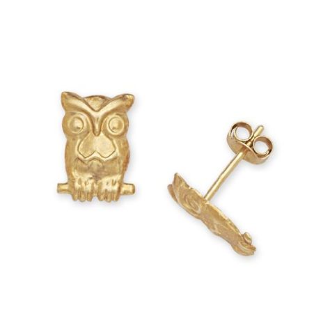 Solid 14k Yellow Gold Owl Friction-Back Post Earrings - J... https://smile.amazon.com/dp/B000L516MU/ref=cm_sw_r_pi_awdb_t1_x_q5xVDbVTTRZP7 Owl Earrings Studs, Gold Owl, Owl Earrings, Owl Jewelry, Kids Earrings, Bird Earrings, Small Earrings Studs, Hypoallergenic Earrings, Christmas Gifts For Women