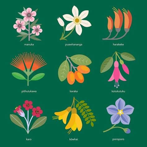 Discover the stunning array of flowers that call New Zealand home, from the delicate alpine buttercup to the majestic kauri tree. This guide includes information on where to find each flower, when it blooms, and how to care for it. So whether you're a seasoned gardener or just starting out, this guide is the perfect way to learn more about New Zealand's beautiful Environmental Mural, Nz Native Flowers, New Zealand Flowers, New Zealand Flora, Nz Flowers, Kauri Tree, Carnival Posters, Nz Art, New Zealand Art