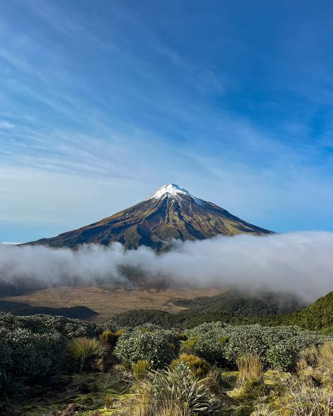 🗻Mt Taranaki🗻 Mt Taranaki, New Zealand, Nature