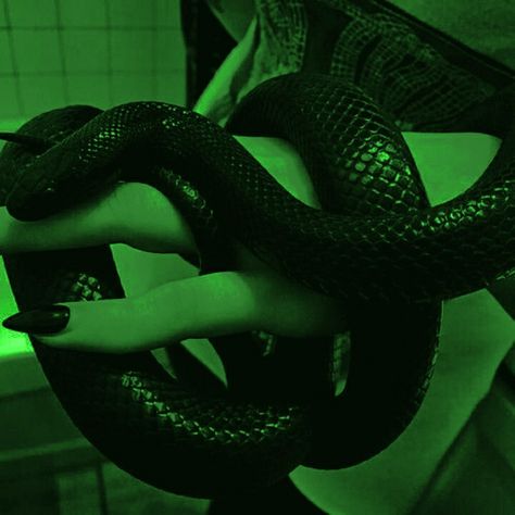 #𝚜𝚕𝚢𝚝𝚑𝚎𝚛𝚒𝚗 Green Rave Aesthetic, Snake Aesthetic Green, Evil Green Aesthetic, Green Feminine Aesthetic, Green Snake Aesthetic, Green Goth Aesthetic, Slytherin Girl Aesthetic, Envy Aesthetic, Snake Nails