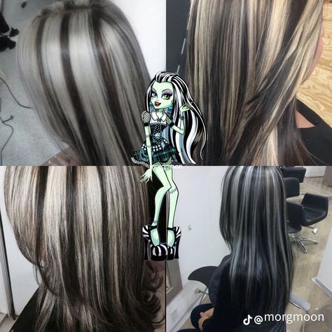 Skunk Hair Black And White, Silver Streaks In Black Hair, Black And White Skunk Hair, Black Hair With Bleached Ends, Alt Bleached Hair, Black Highlights On Blonde Hair, White Highlights Brown Hair, Blonde And Black Hair Ideas, Blonde Hair With Black Streaks