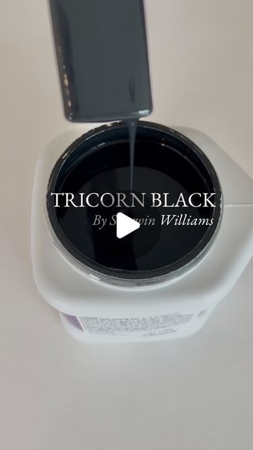 Tara Nelson on Instagram: "What’s my favorite black paint as an interior designer? 

Tricorn Black by Sherwin Williams 🖤

The perfect color to make a statement! I use it EVERWHERE! Try it - I promise you will love it!🖤

Great for walls, trim, mouldings, doors, cabinets and exterior

1. Photo via Studio-McGee.com
2. Photo via Allisajacobs.com
3. Photo via homebunch.com
4. Photo via thehouseofsilverlinings.com
5. Photo via Nikisplate.com 
6. Photo via homebunch.com

And don’t forget to like, share, and save for inspo! 

#tricornblack #sherwinwilliams #sherwinwilliamspaint #paint #wallpaint #interiorpaint #exteriorpaint #blackpaint #home #design #homedesign #homedesigninspo #homeinspo #interiors #interiordesign #interiordesigner" Sherwin Williams Black Paint Colors, Tricorn Black Sherwin Williams, Sherwin Williams Tricorn Black, Tricorn Black, Black Paint Color, William Black, Studio Mcgee, I Promise You, Sherwin Williams