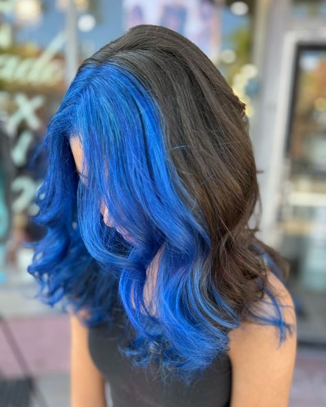 Full blue halo Salon Coronado & Spa • #colorcorrection #color #balayagetechnique #fullcolor #halo #716hair #saloncoronado #buffalosalon #kenmoresalon #olaplex #booknow #glossgenius #joico #steamtreament #alwaysacceptingnewclients #716 #linkinbio #booknow #curls #longhair #buffalosalon #kenmoreaalon #beautybyaileen #saloncoronado&spa #glossboss #booked&busy #lovewhatido #bookingnow #onlinebooking #2870Delawareave #7168766009 Blue Halo Hair, Full Blue, Halo Hair, Long Hair, Blue Black, Halo, Spa, Hair, Blue